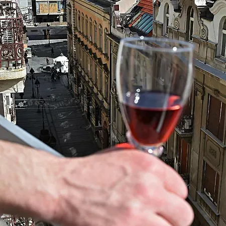 Cosy Flat And Charming Balcony In A Pedestrian Zone Belgrade